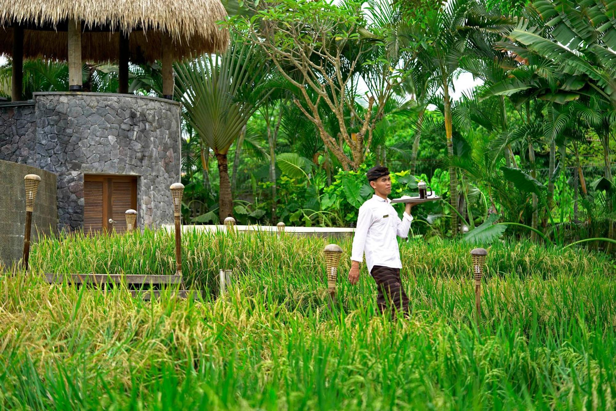 Lalasa Villas Canggu Exteriör bild